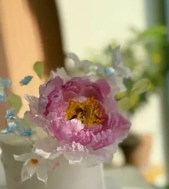 Hoa mẫu đơn giấy gạo hồng Ann Home