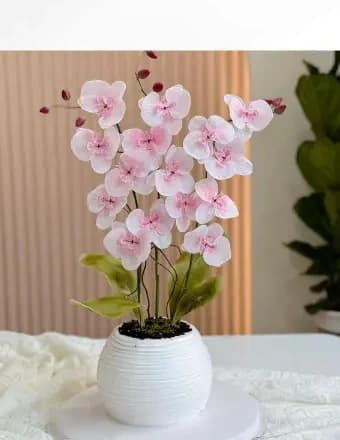 Bánh kem chậu hoa lan giấy gạo hồng